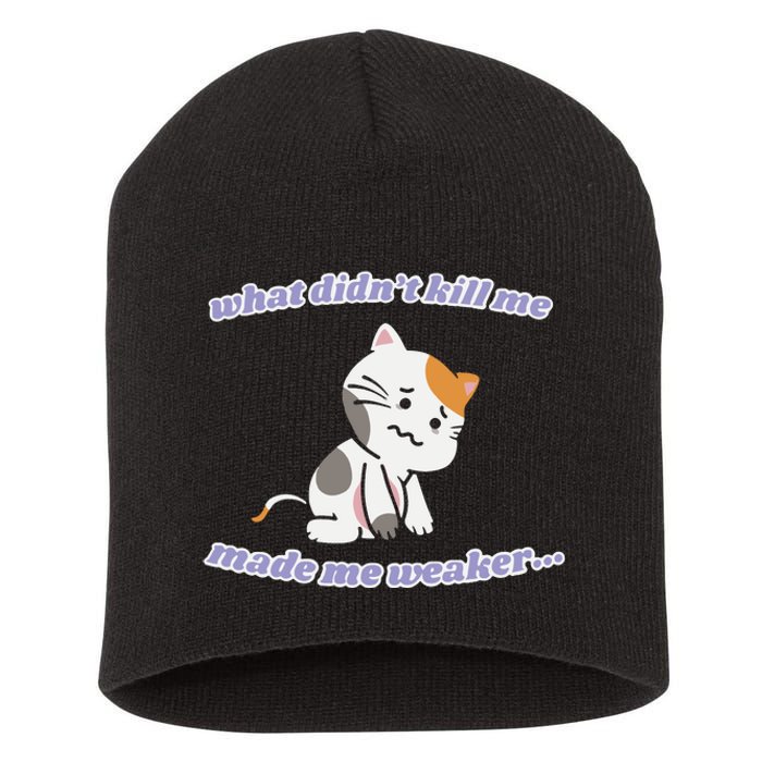 What Didnt Kill Me Made Me Weaker Short Acrylic Beanie