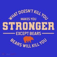 What Doesnt Kill You Makes You Stronger Except Bears T-Shirt