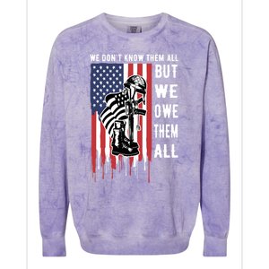 We Dont Know Them All But We Owe Them All Veterans Day Flag Great Gift Colorblast Crewneck Sweatshirt