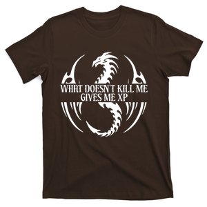 What DoesnT Kill Me Gives Me Xp T-Shirt