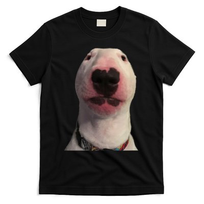 Walter Dog Meme Gift T-Shirt