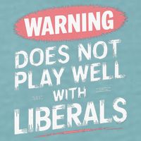 Warning Does Not Play Well With Liberals Sueded Cloud Jersey T-Shirt