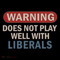 Warning Does Not Play Well With Liberals Kids T-Shirt