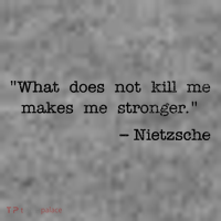 What Does Not Kill Me Makes Me Stronger Nietzsche Toddler Hoodie