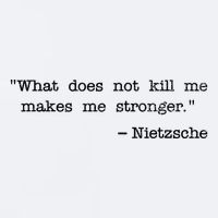 What Does Not Kill Me Makes Me Stronger Nietzsche Sueded Cloud Jersey T-Shirt
