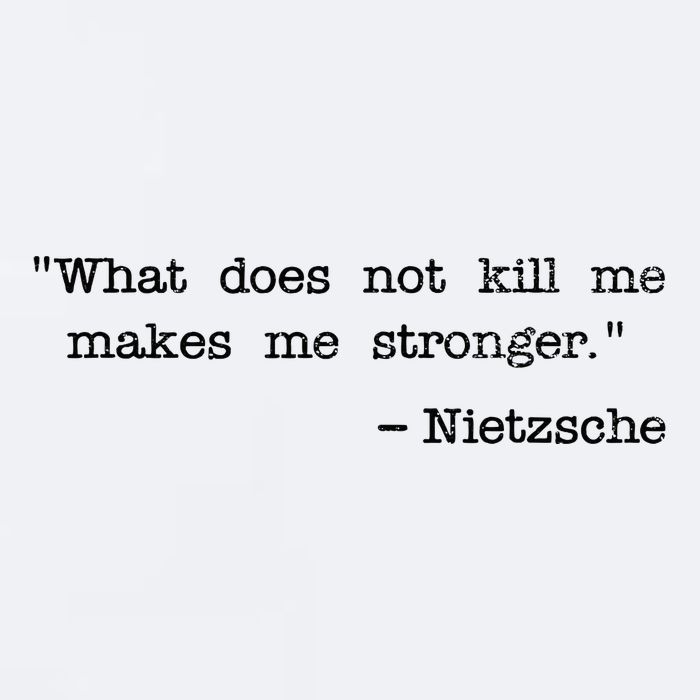 What Does Not Kill Me Makes Me Stronger Nietzsche Sueded Cloud Jersey T-Shirt