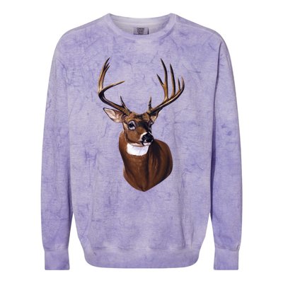 Whitetail Deer Portrait Antlers Wildlife Gift Animal Graphic Gift Colorblast Crewneck Sweatshirt