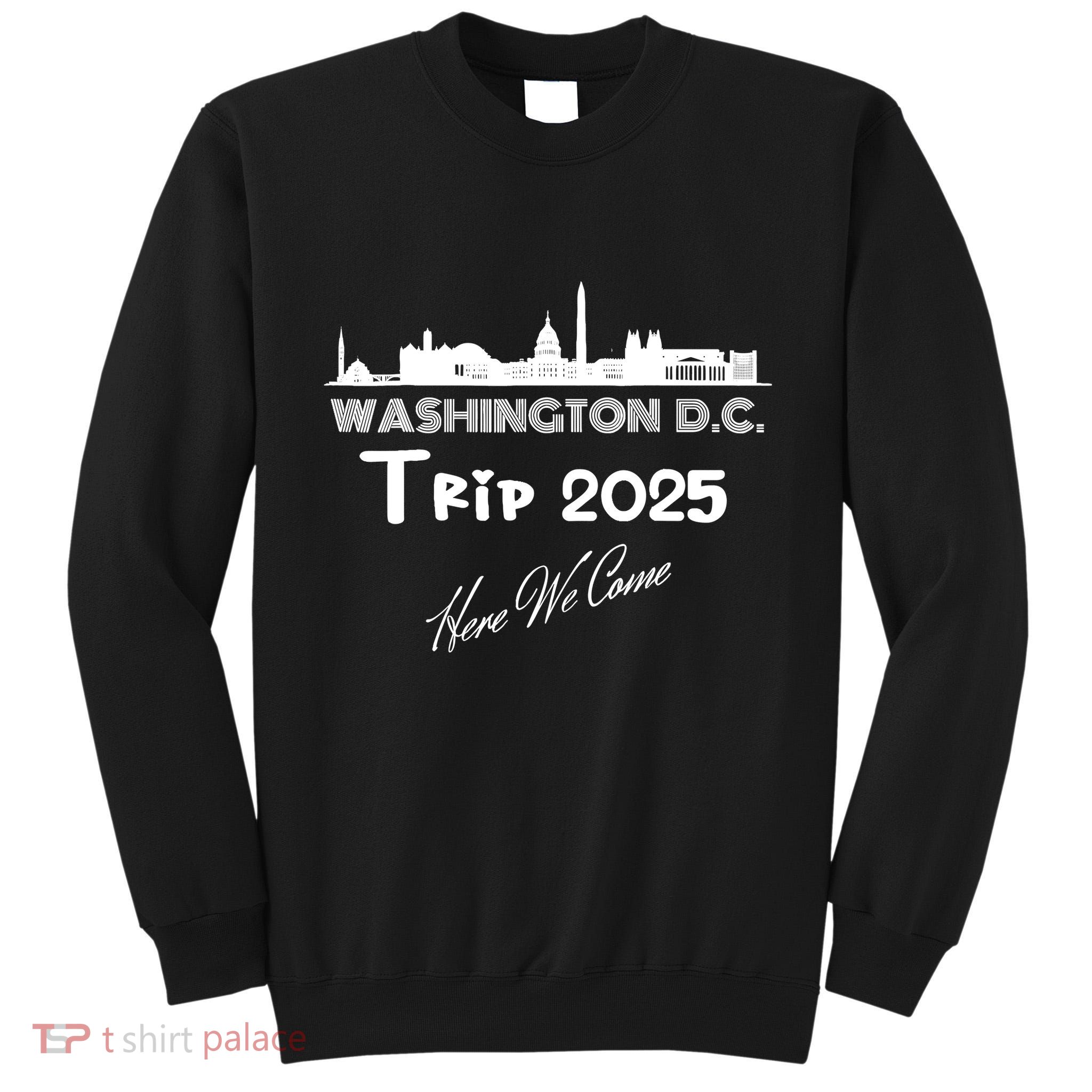 Washington D.C Skyline Trip 2025 Here We Come Matching Team Tall Sweatshirt