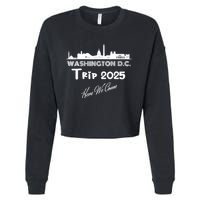 Washington D.C Skyline Trip 2025 Here We Come Matching Team Cropped Pullover Crew