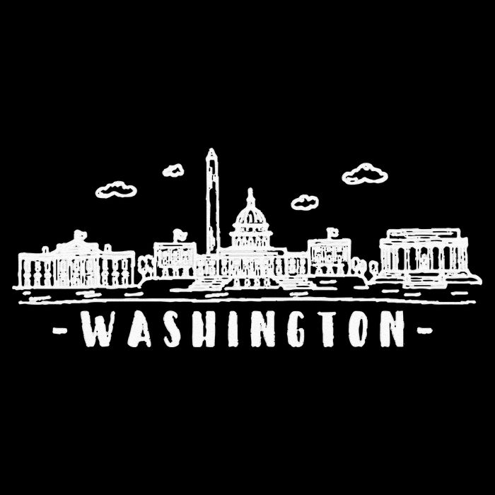 Washington DC Skyline Backpack