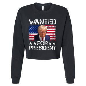 Wanted Donald Trump For President 2024 Trump Mug Shot Cropped Pullover Crew