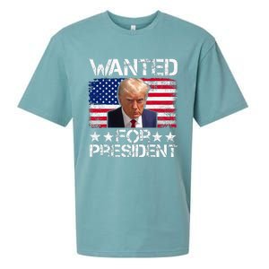 Wanted Donald Trump For President 2024 Trump Mug Shot Sueded Cloud Jersey T-Shirt