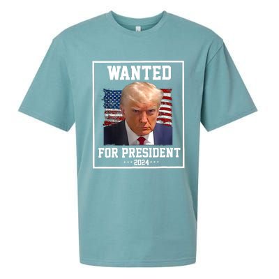 Wanted Donald Trump For President 2024 Sueded Cloud Jersey T-Shirt