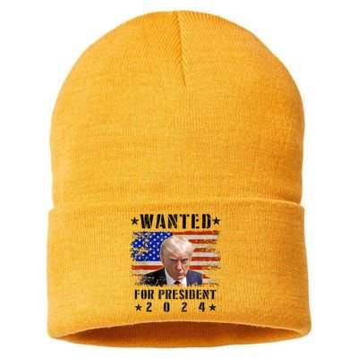 Wanted Donald Trump For President 2024 Trump Mug Shot Flag Sustainable Knit Beanie