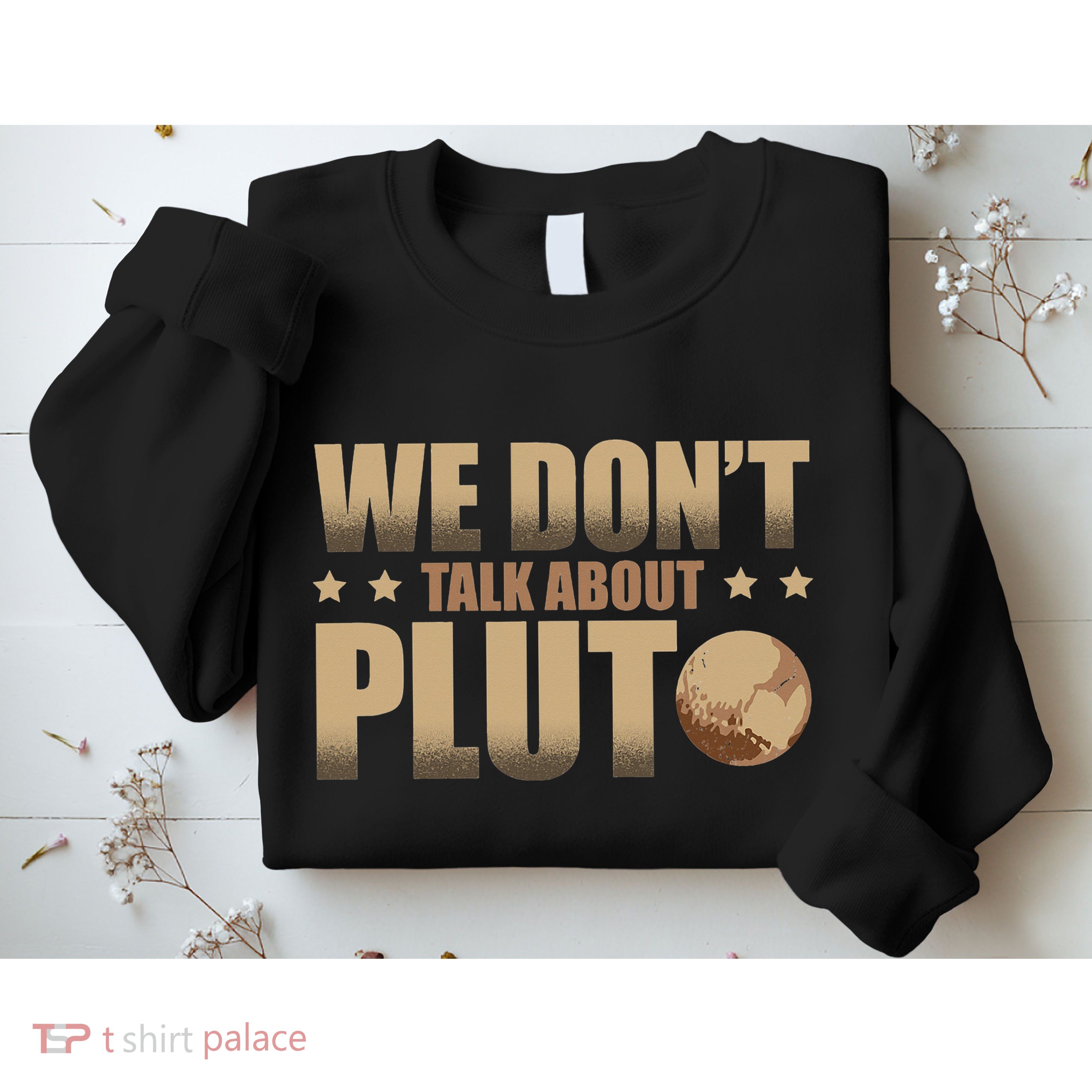 We Don't Talk About Pluto Astronomer Astrophysics Sweatshirt