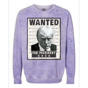 Wanted Donald Trump For President 2024 Trump Mug Shot Colorblast Crewneck Sweatshirt