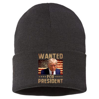 Wanted Donald Trump For President 2024 Trump Mug Shot Sustainable Knit Beanie