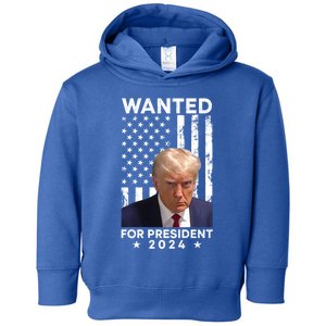 Wanted Donald Trump For President 2024 American Flag Trump Cute Gift Toddler Hoodie