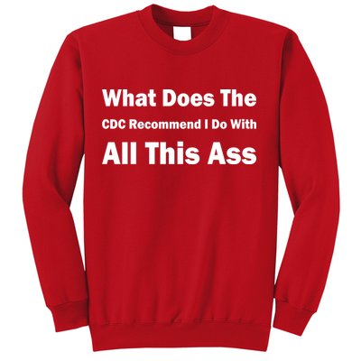 What Does The CDC Recommend I Do With All This Ass Sweatshirt