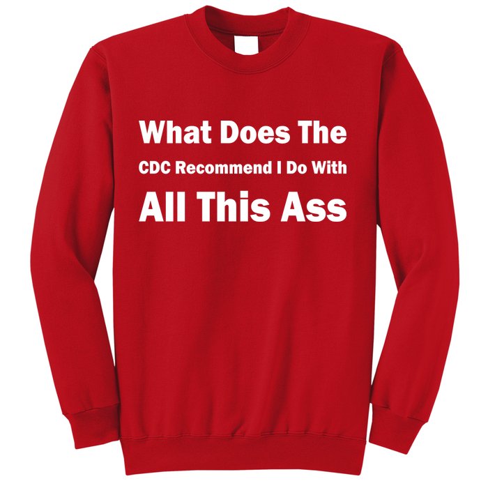 What Does The CDC Recommend I Do With All This Ass Sweatshirt