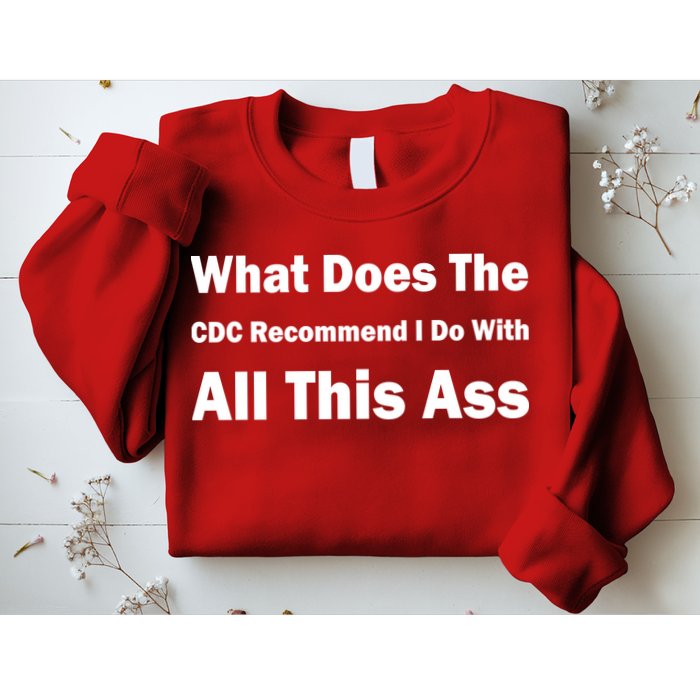 What Does The CDC Recommend I Do With All This Ass Sweatshirt