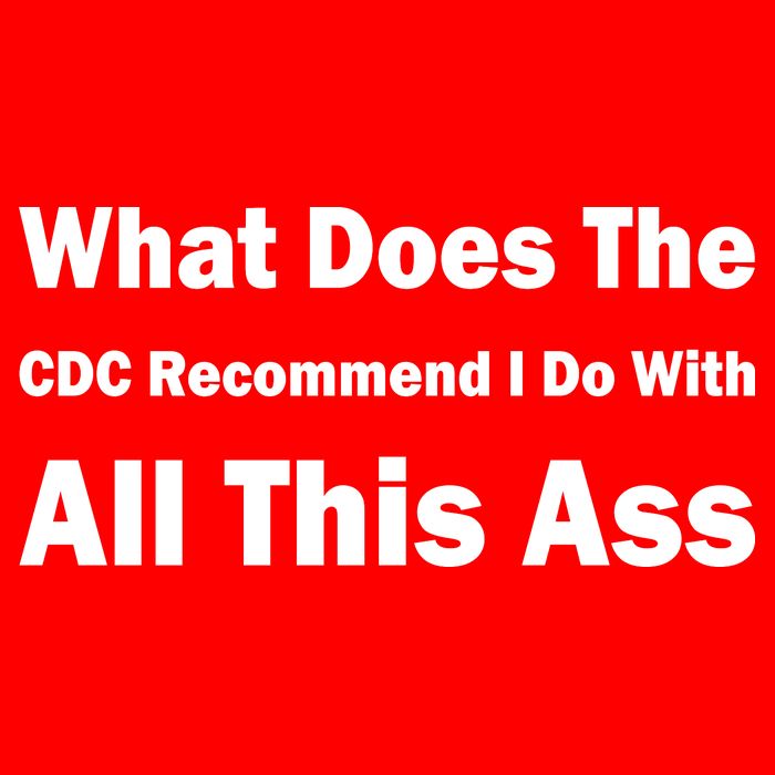 What Does The CDC Recommend I Do With All This Ass Womens T-Shirt