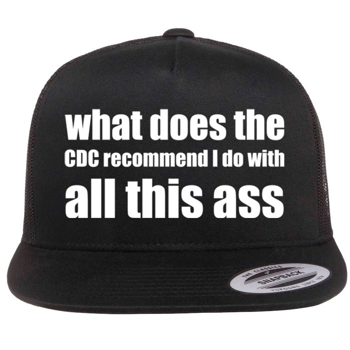 What Does The CDC Recommend I Do With All This Ass Flat Bill Trucker Hat