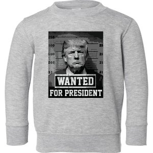 Wanted Donald Trump For President 2024 Trump Mug Shot Toddler Sweatshirt