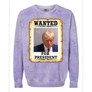 Wanted Donald Trump For President 2024 Colorblast Crewneck Sweatshirt