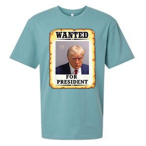 Wanted Donald Trump For President 2024 Sueded Cloud Jersey T-Shirt