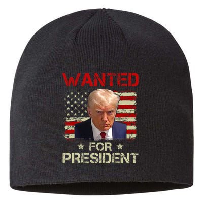 Wanted Donald Trump For President 2024 USA Flag Vintage Sustainable Beanie