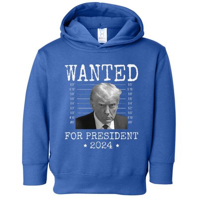 Wanted Donald Trump 2024 For President Never Surrender Toddler Hoodie