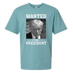 Wanted Donald Trump For President 2024 USA Flag Sueded Cloud Jersey T-Shirt