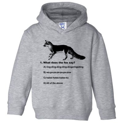 What Does The Fox Say Toddler Hoodie