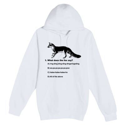 What Does The Fox Say Premium Pullover Hoodie