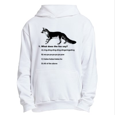 What Does The Fox Say Urban Pullover Hoodie