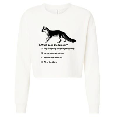 What Does The Fox Say Cropped Pullover Crew