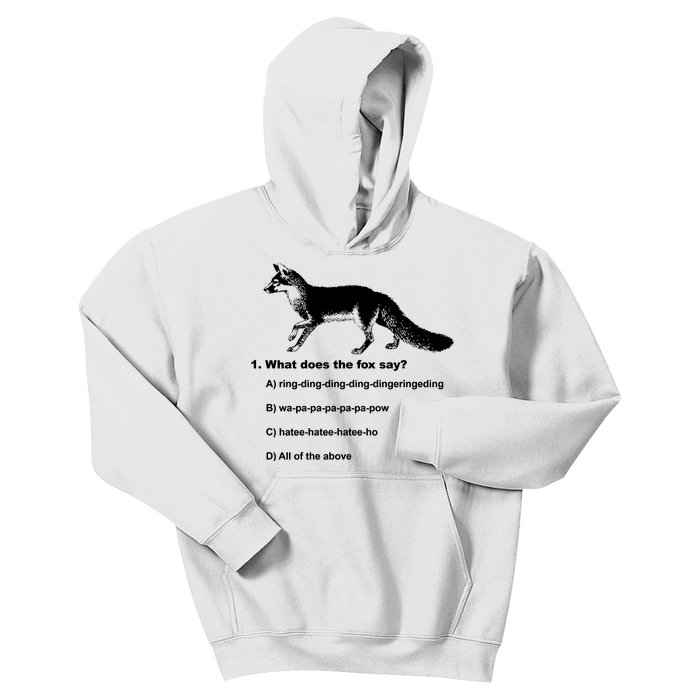 What Does The Fox Say Kids Hoodie