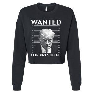 Wanted Donald Trump For President 2024 Cropped Pullover Crew