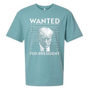 Wanted Donald Trump For President 2024 Sueded Cloud Jersey T-Shirt