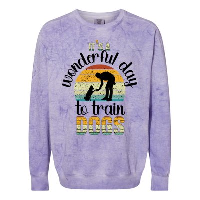 Wonderful Day To Train Dogs Trainer Dog Training Cute Gift Colorblast Crewneck Sweatshirt