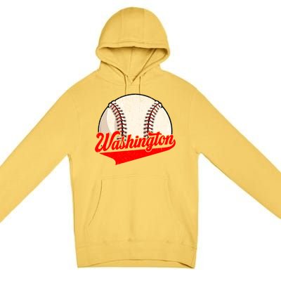 Washington Dc Vintage Baseball Lover Funny Dad Mom Cute Gift Premium Pullover Hoodie