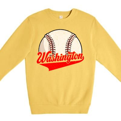 Washington Dc Vintage Baseball Lover Funny Dad Mom Cute Gift Premium Crewneck Sweatshirt