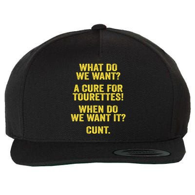 What Do We Want A Cure For Tourettes When Cunt Wool Snapback Cap