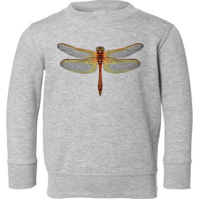 Watercolor Dragonfly Toddler Sweatshirt
