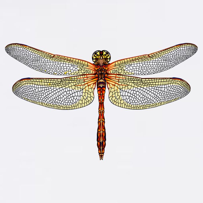 Watercolor Dragonfly Mug