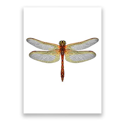 Watercolor Dragonfly Poster