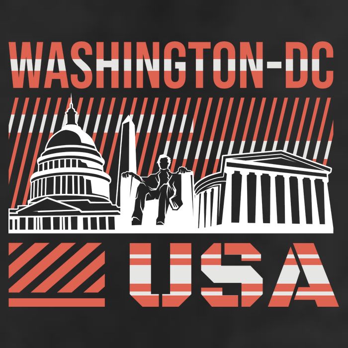 Washington DC Adult Drive Performance Visor