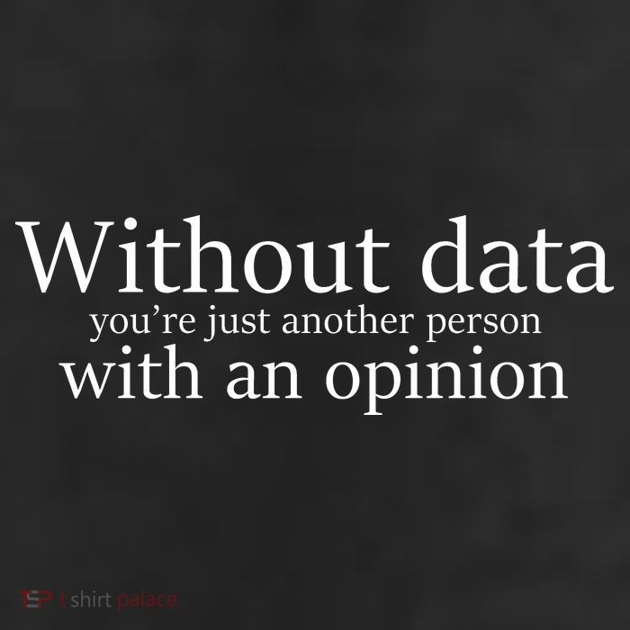 Without Data You're Just Another Person With An Opinion Beanie