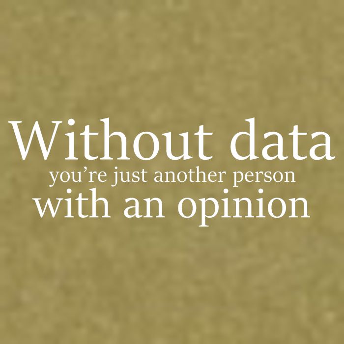 Without Data You're Just Another Person With An Opinion Garment-Dyed Women's Muscle Tee
